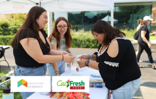 How Digitag PH Can Transform Your Digital Marketing Strategy and Boost Results
